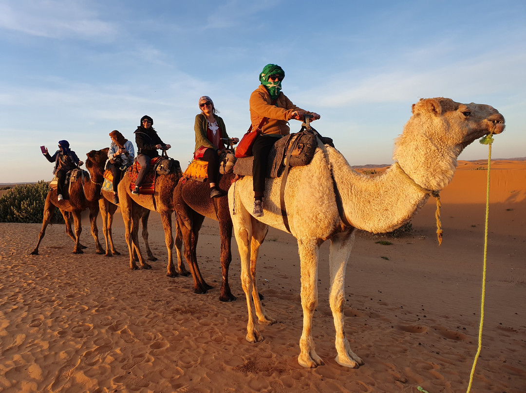 Wild Desert of Morocco景点图片