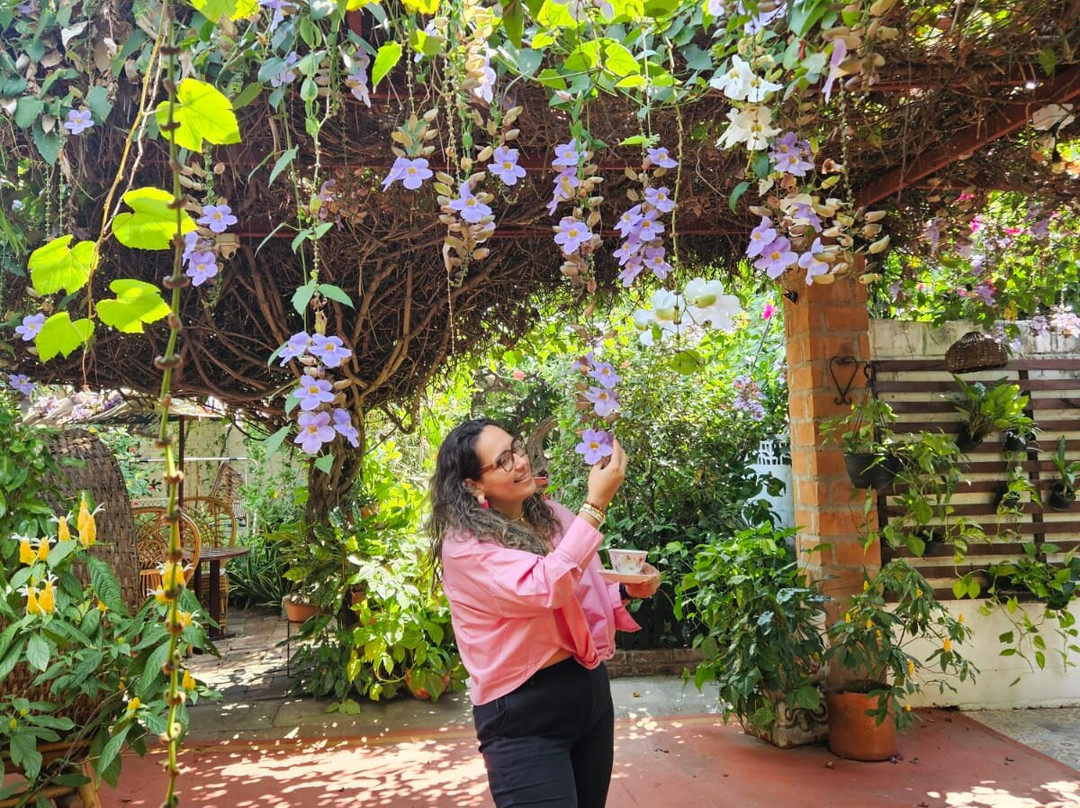 Casa de Los Santos Reyes Hotel Boutique Valledupar主图