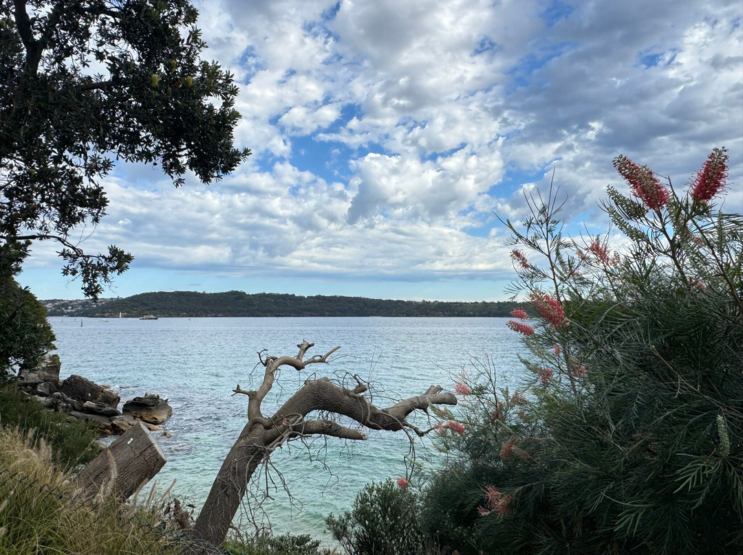 淑女湾-悉尼必去景点