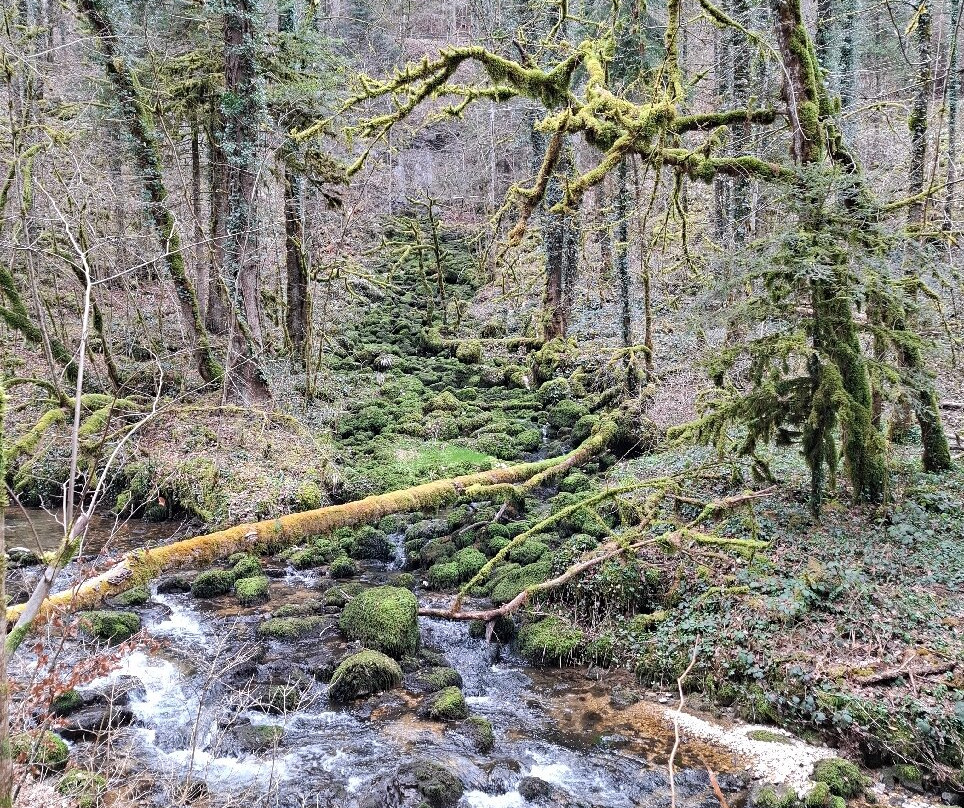 Gorges du Pichoux-Undervelier必去景点
