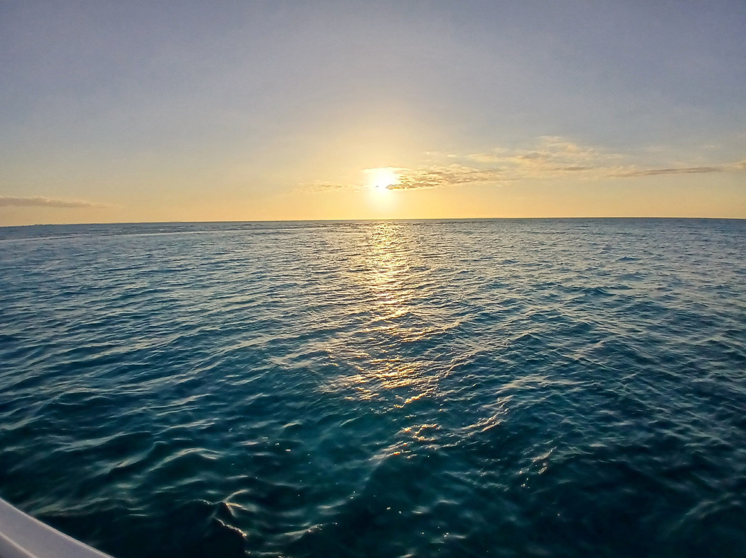 Caicos Dream Tours-普罗维登西亚莱斯必去景点