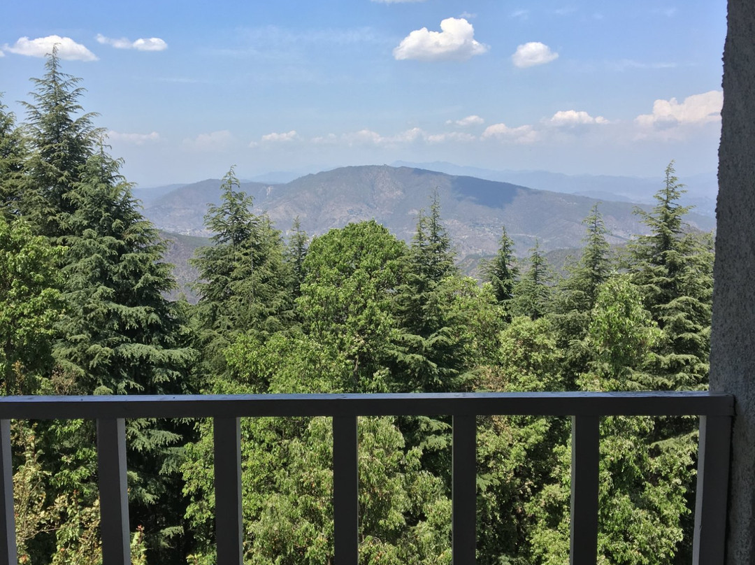 Homfortable Loshgyani主图