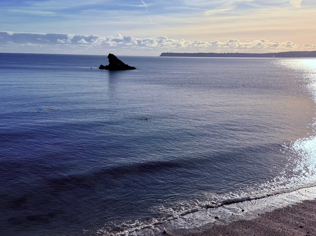 Meadfoot Beach-托基必去景点