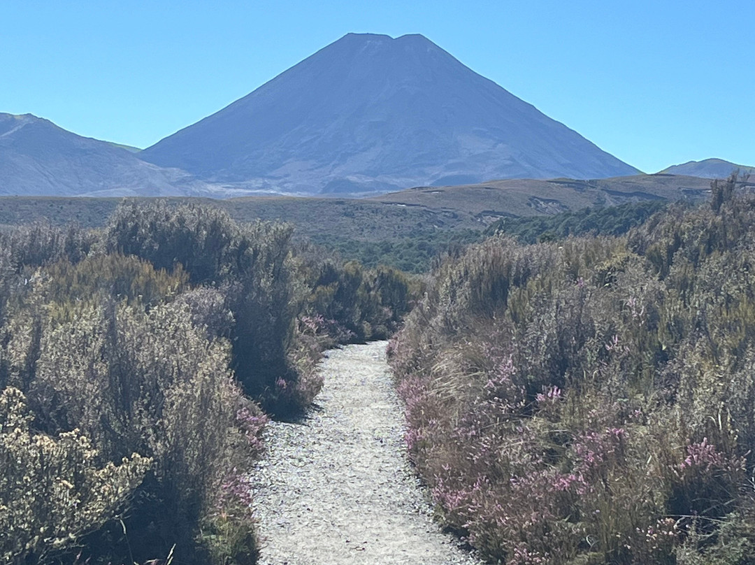 Tongariro National Park Visitor Centre (Whakapapa Visitor Centre)景点图片