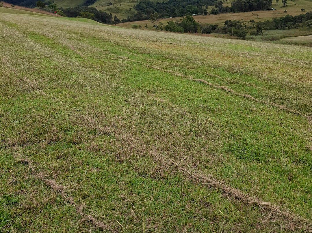 Badplaas Golf Club Guest House & Lodge主图