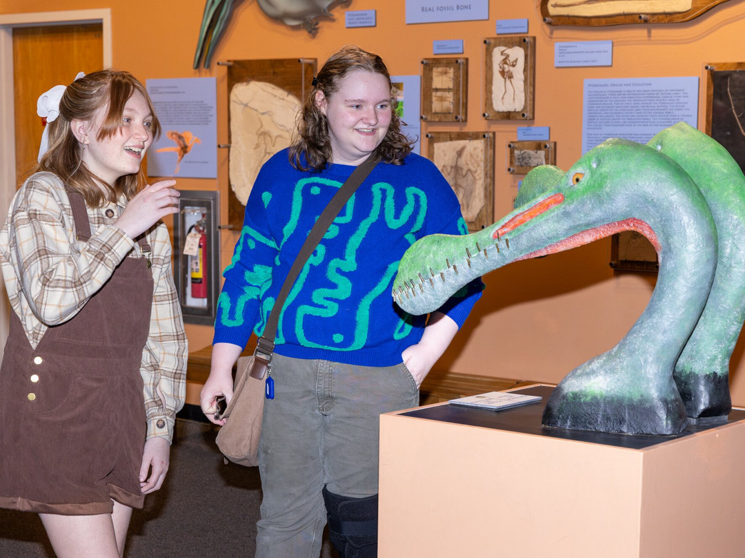 Arizona Museum Of Natural History-梅萨必去景点