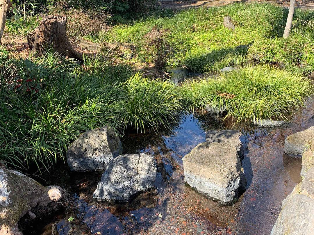 Shirataki Park-三岛市必去景点