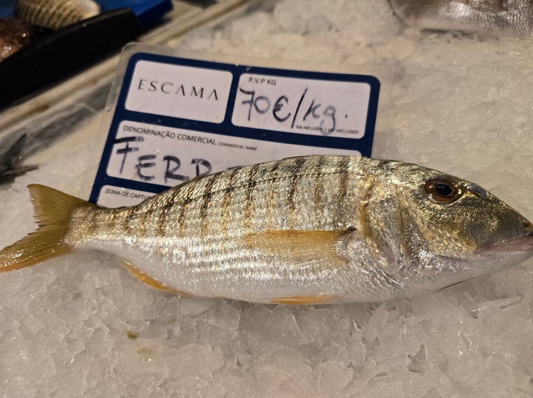 Escama - Fish Tasca
