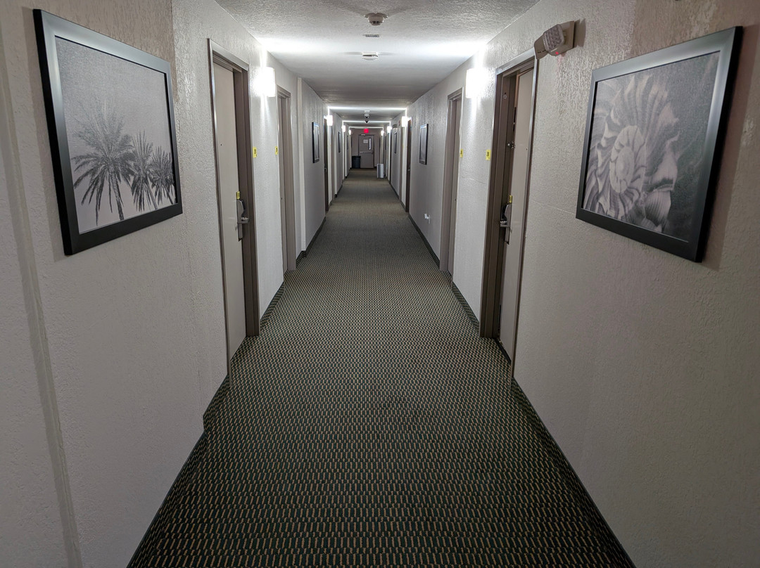 Super 8 By Wyndham Melbourne主图