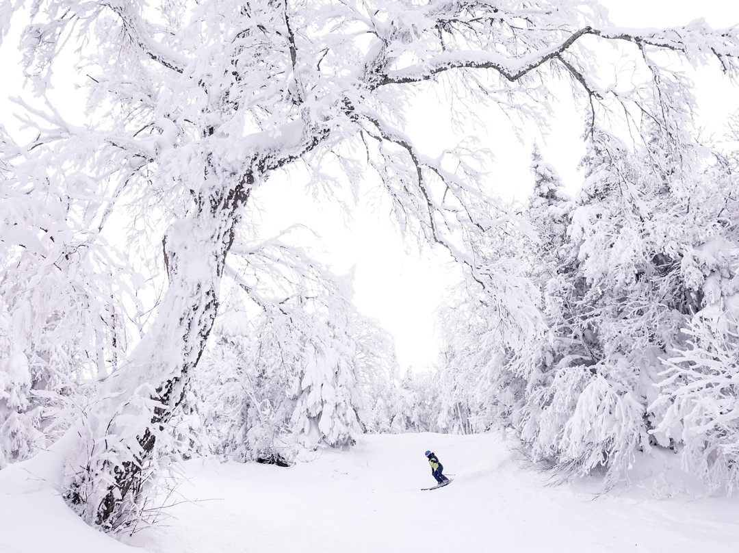 Mont SUTTON-Sutton必去景点