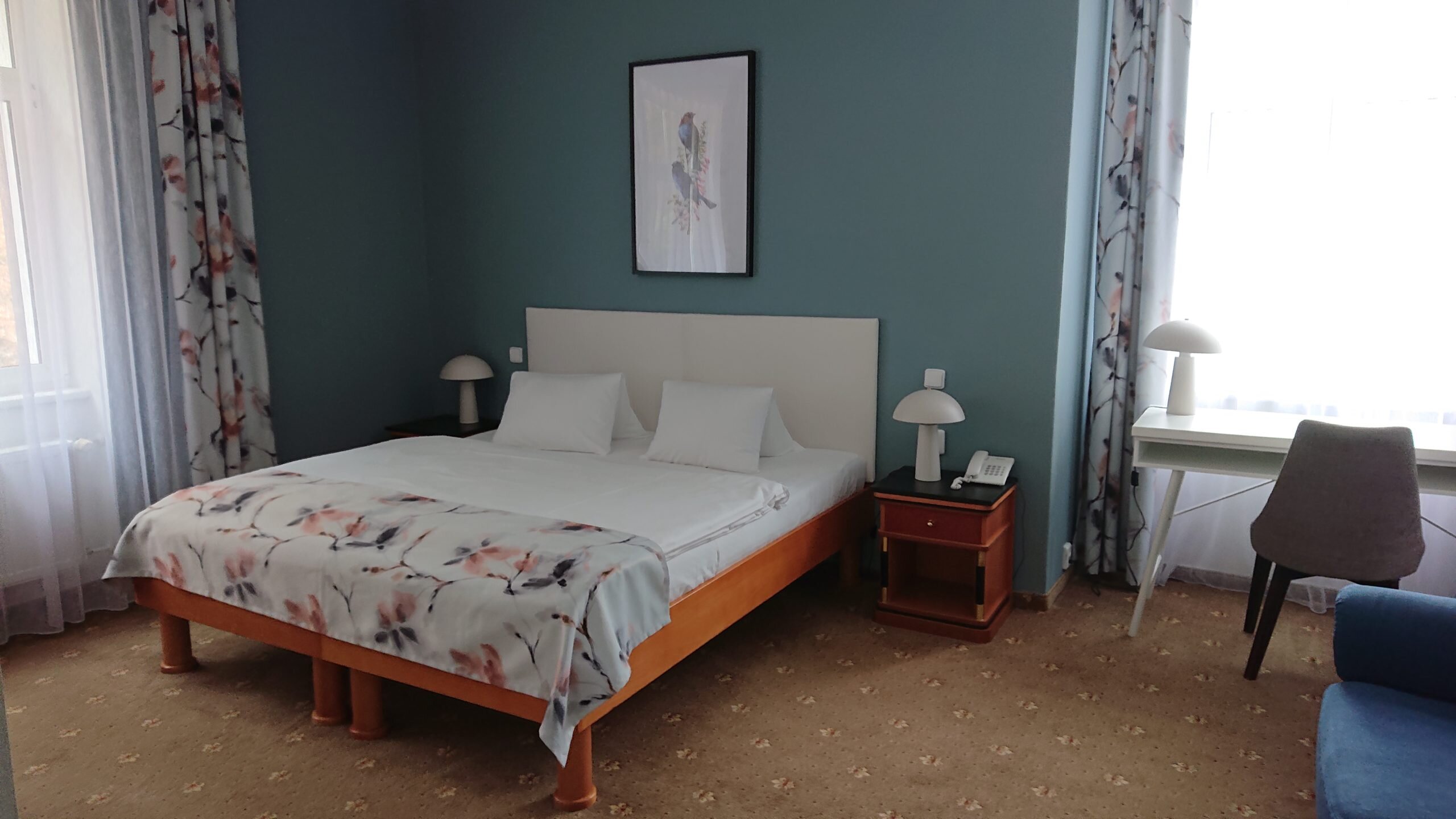 Spa Hotel Silva-客卧