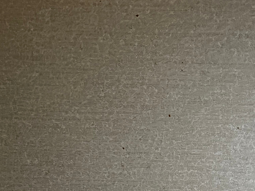 Comfort Inn Albany / Glenmont主图