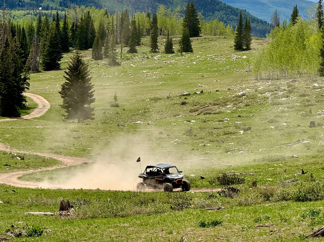 Uinta Adventures - UTV and Snowmobile Tours