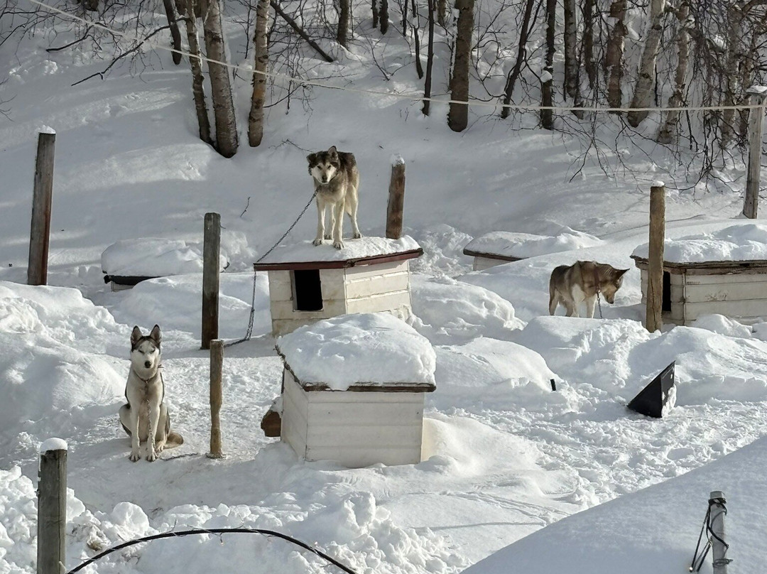Hasselberg Husky AS-Storslett必去景点