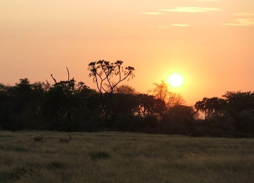 Foot On Kilimanjaro Adventure-莫西必去景点