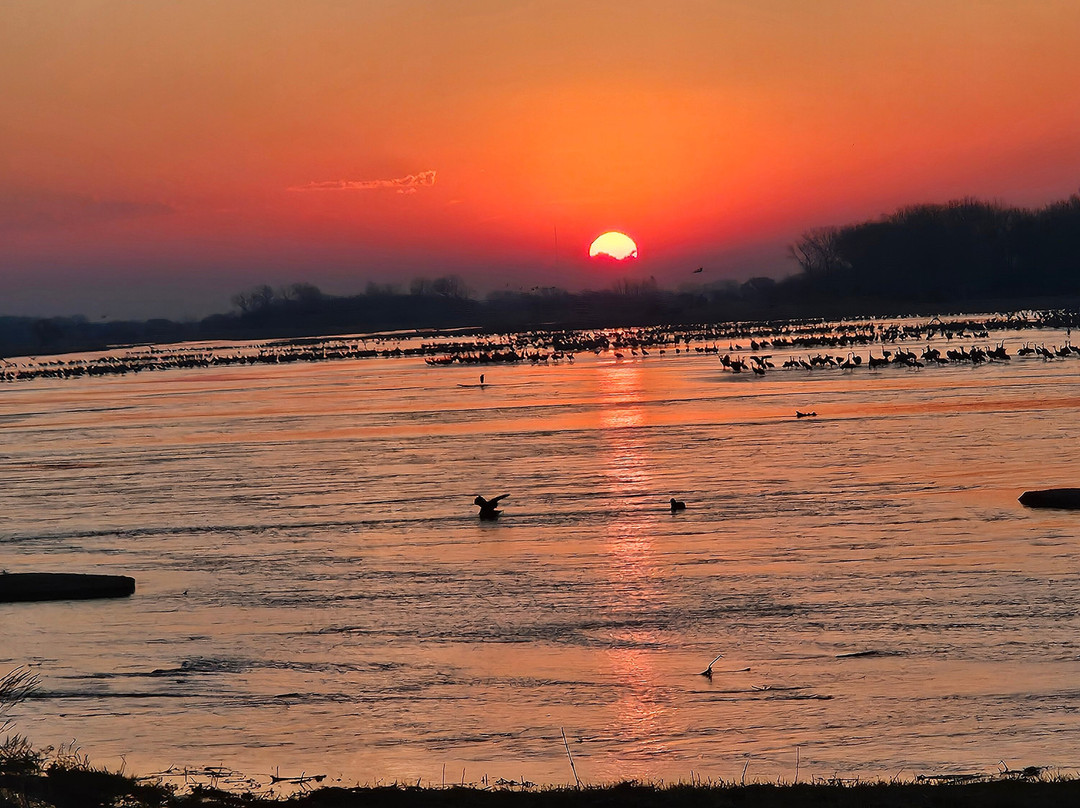 Crane Trust-Wood River必去景点