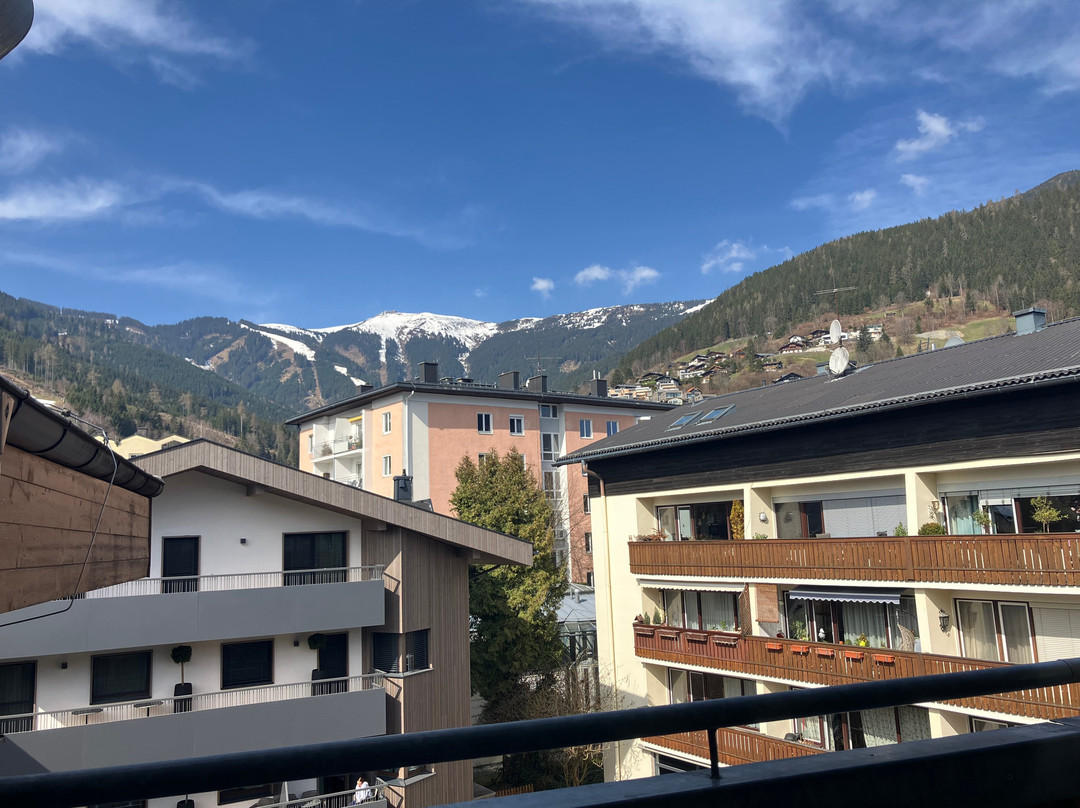 Hotel Grüner Baum主图