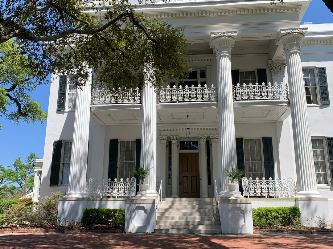 Natchez Pilgrimage Tours景点图片