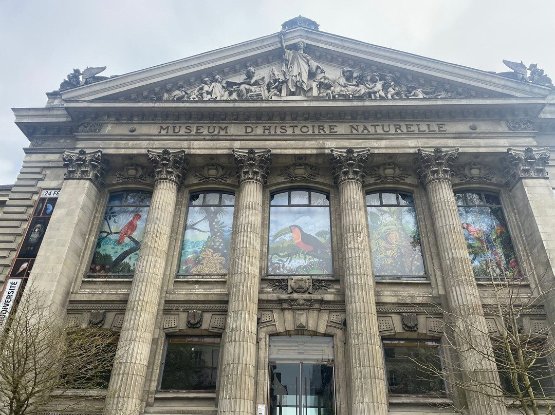 Muséum de Nantes-南特必去景点