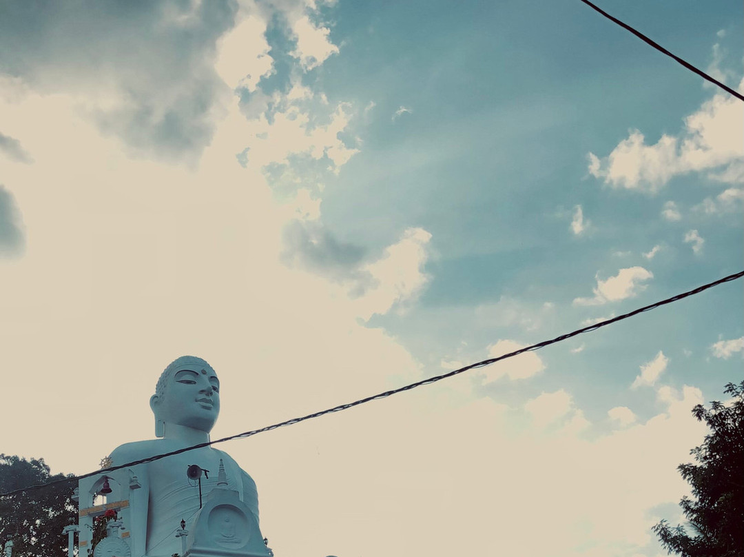 Island Escapades Tours-Pannila East必去景点