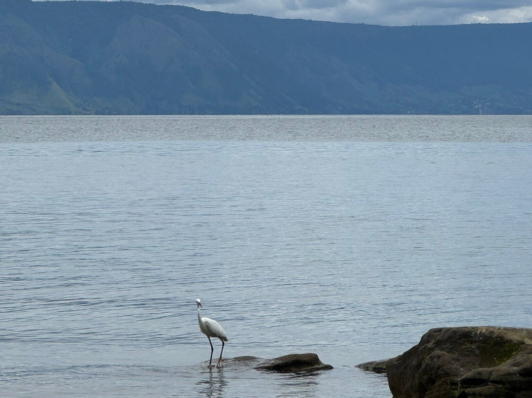 Toba Transporter-棉兰必去景点