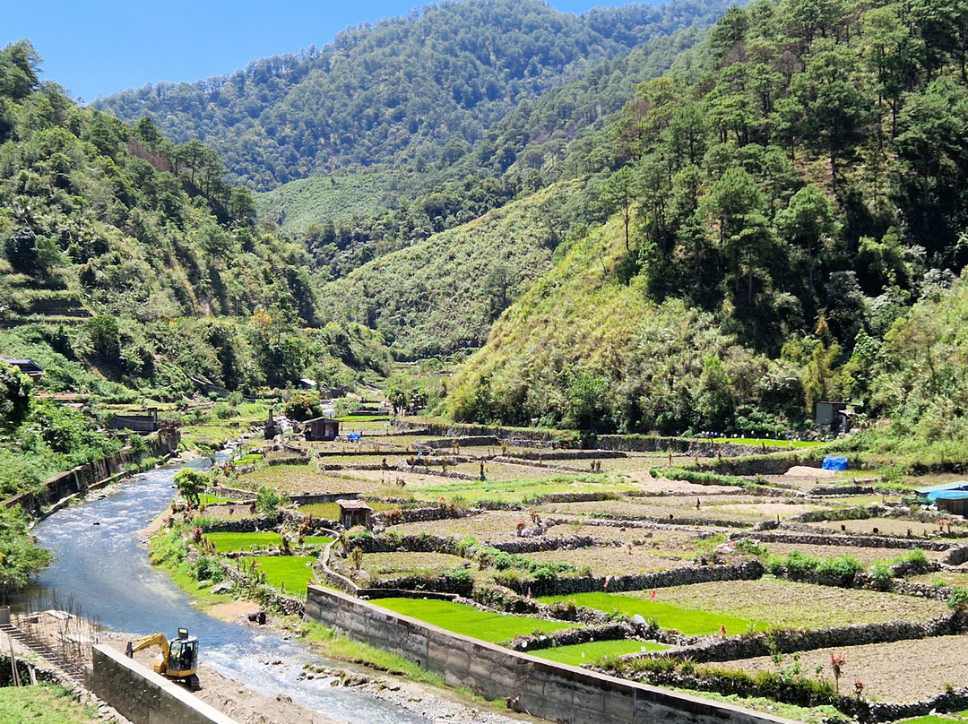 Chico River景点图片