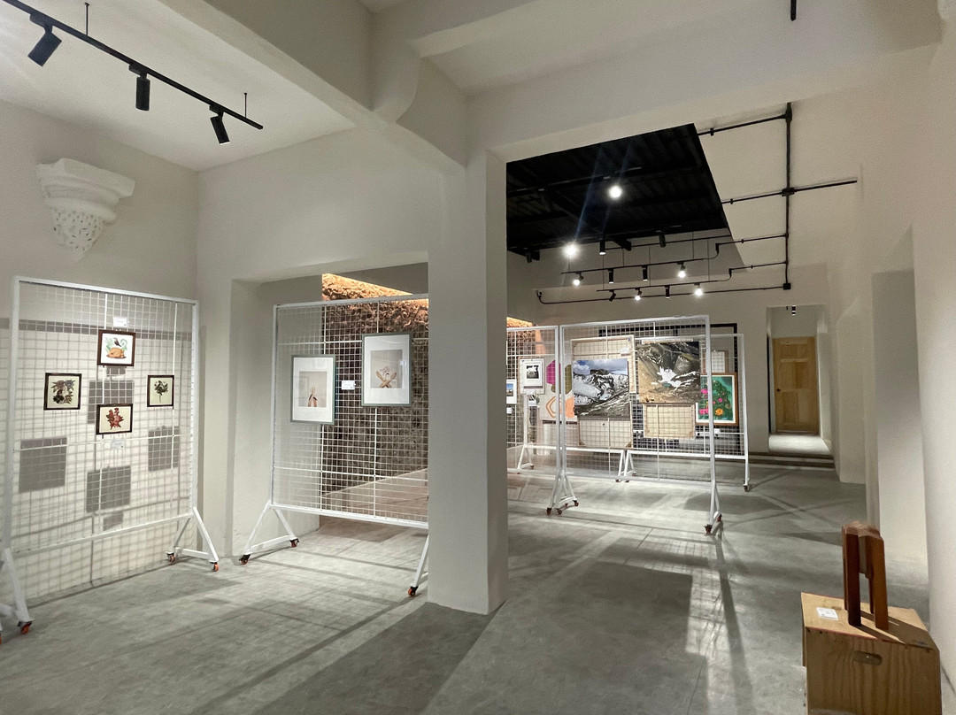 Atelier Xalli - Galería De Arte景点图片