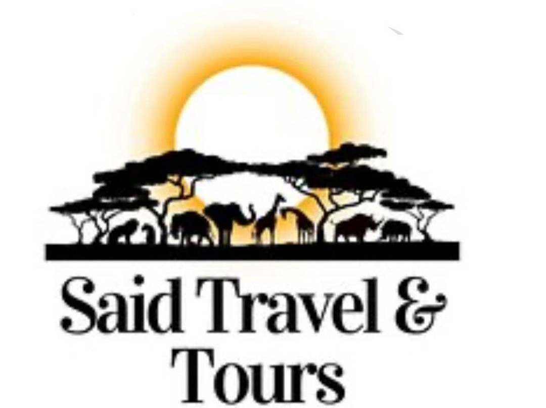 Said Travel and Tours-开普敦中心区必去景点