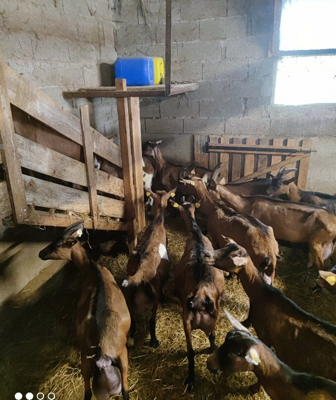 La Ferme de Vigne Haute-Reilhac必去景点