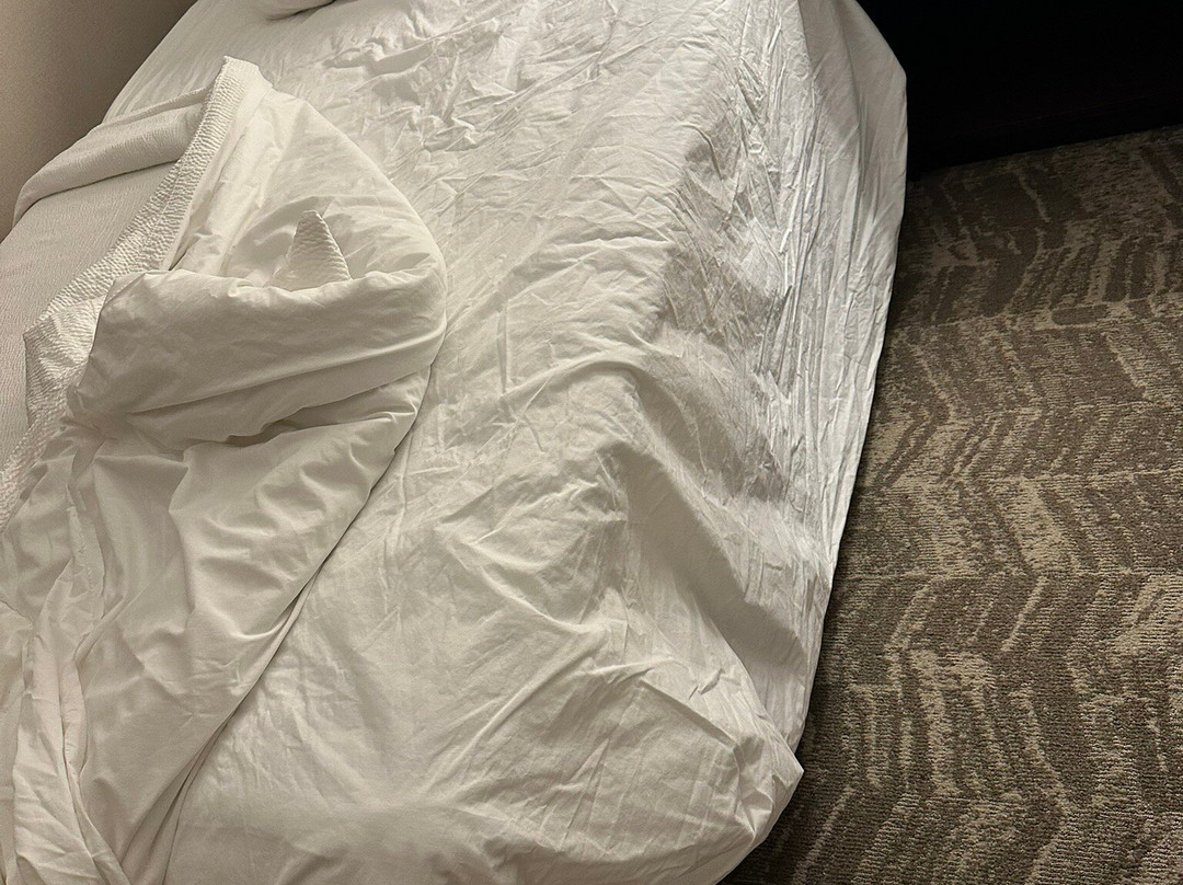 SpringHill Suites by Marriott Cleveland Solon主图