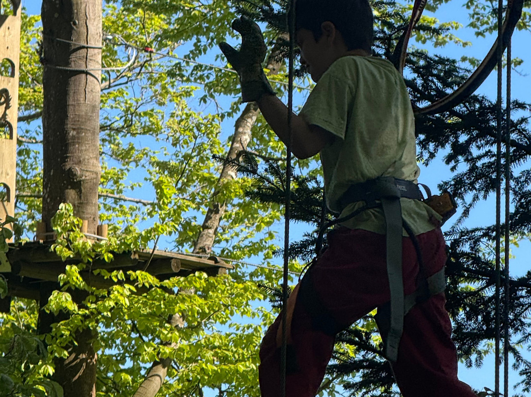Parc Aventure Chaumont-Chaumont-de-Pury必去景点