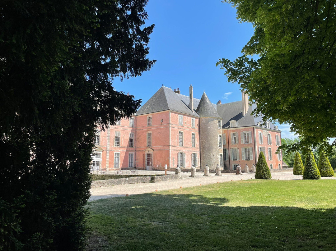 Château de Meung sur Loire景点图片