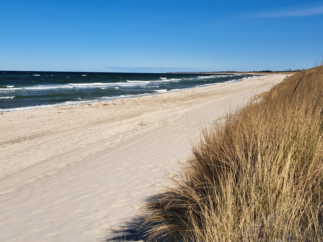 Ostseebad Dierhagen景点图片