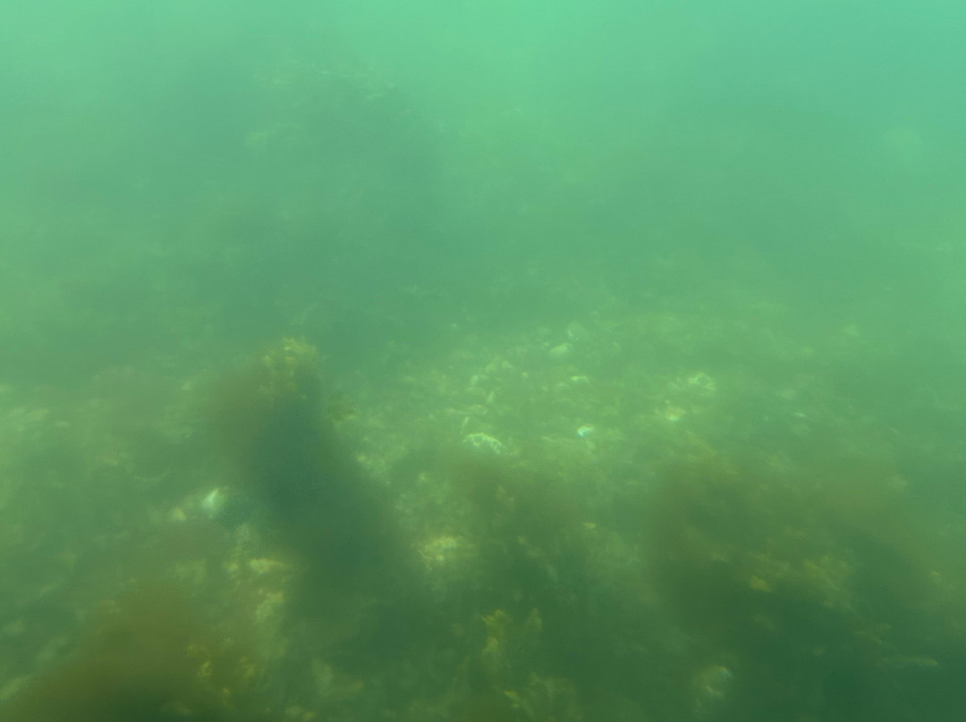 Seaprobe Atlantis景点图片