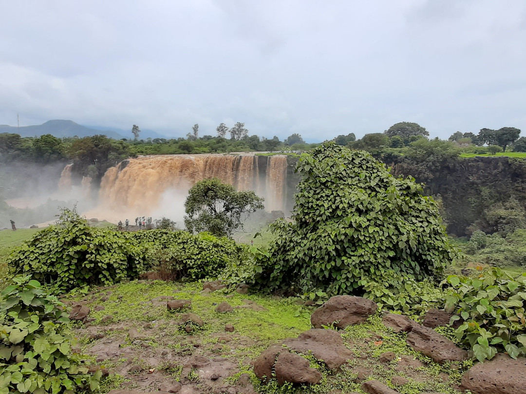 Ethio Trekking And  Expeditions-亚的斯亚贝巴必去景点