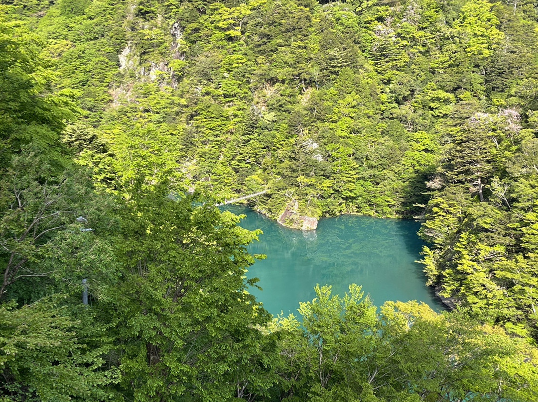 Yume no Tsuribashi Suspension Bridge-川根本町必去景点