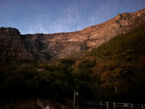 Ruminate-开普敦中心区必去景点