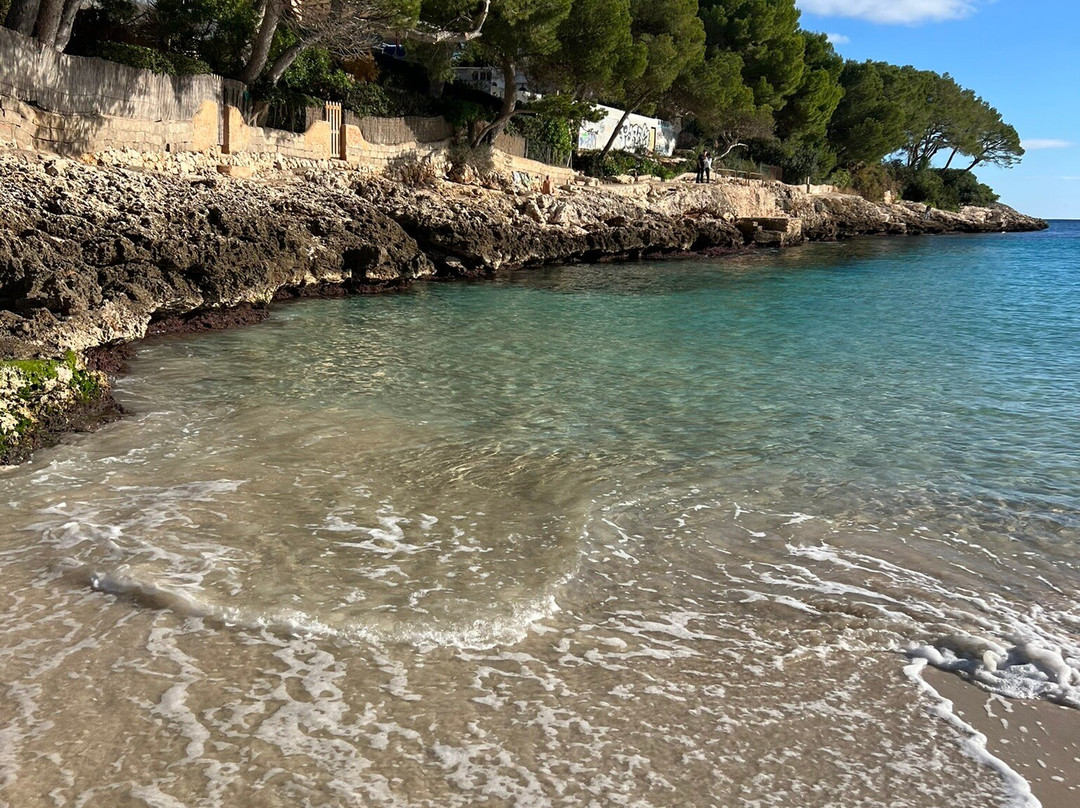 Playa Cala Gran-卡拉多尔必去景点