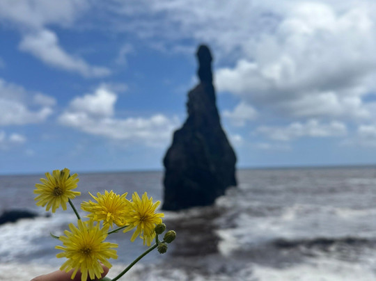 Levata Tour-里贝拉布拉瓦必去景点