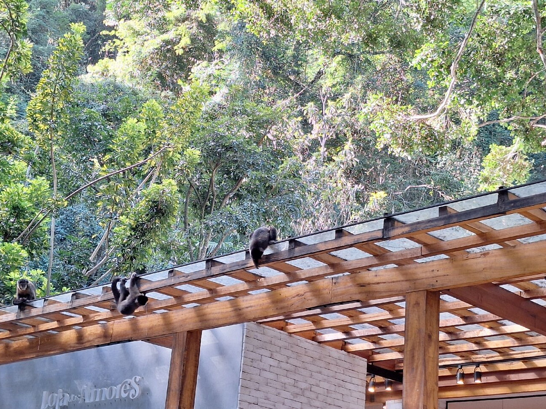 Fonte Dos Amores-Pocos de Caldas必去景点