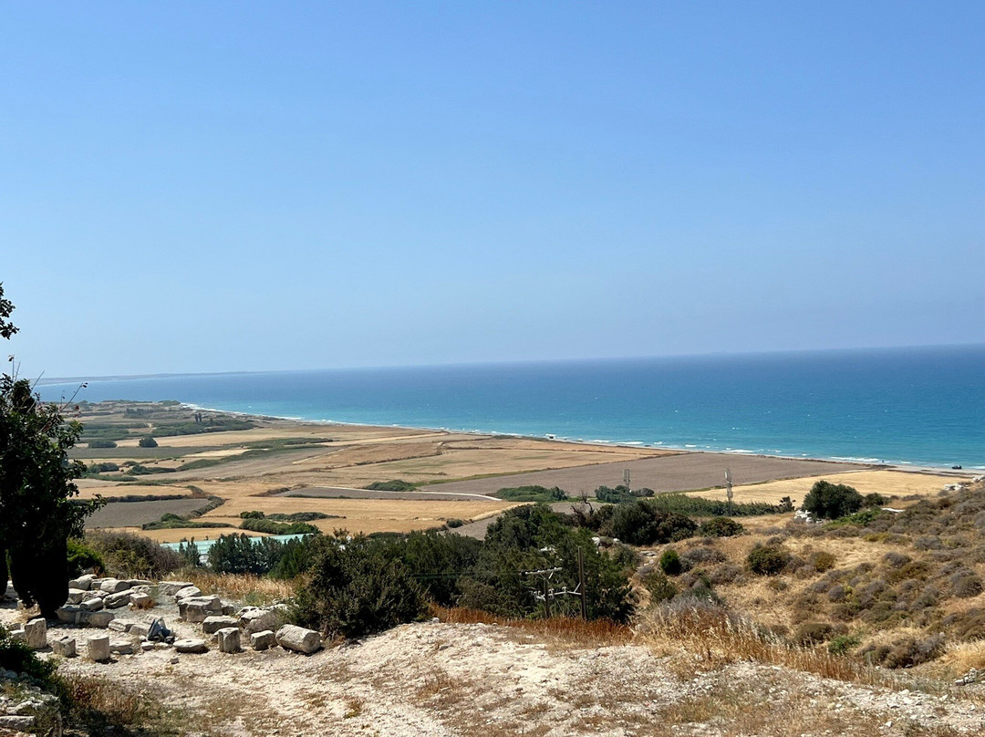 Local Archaeological Kourion Museum-Episkopi必去景点