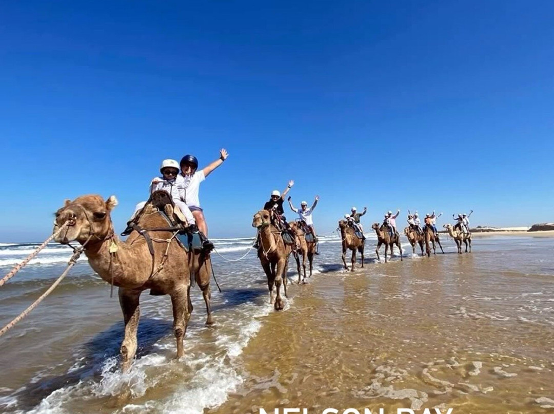 Nelson Head Heritage Lighthouse and Reserve-尼尔森湾必去景点