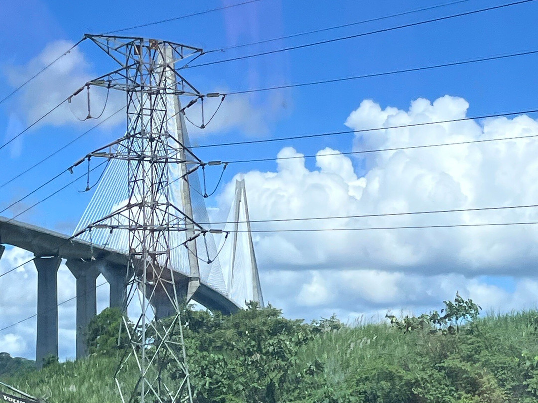 Panama Canal Railway景点图片