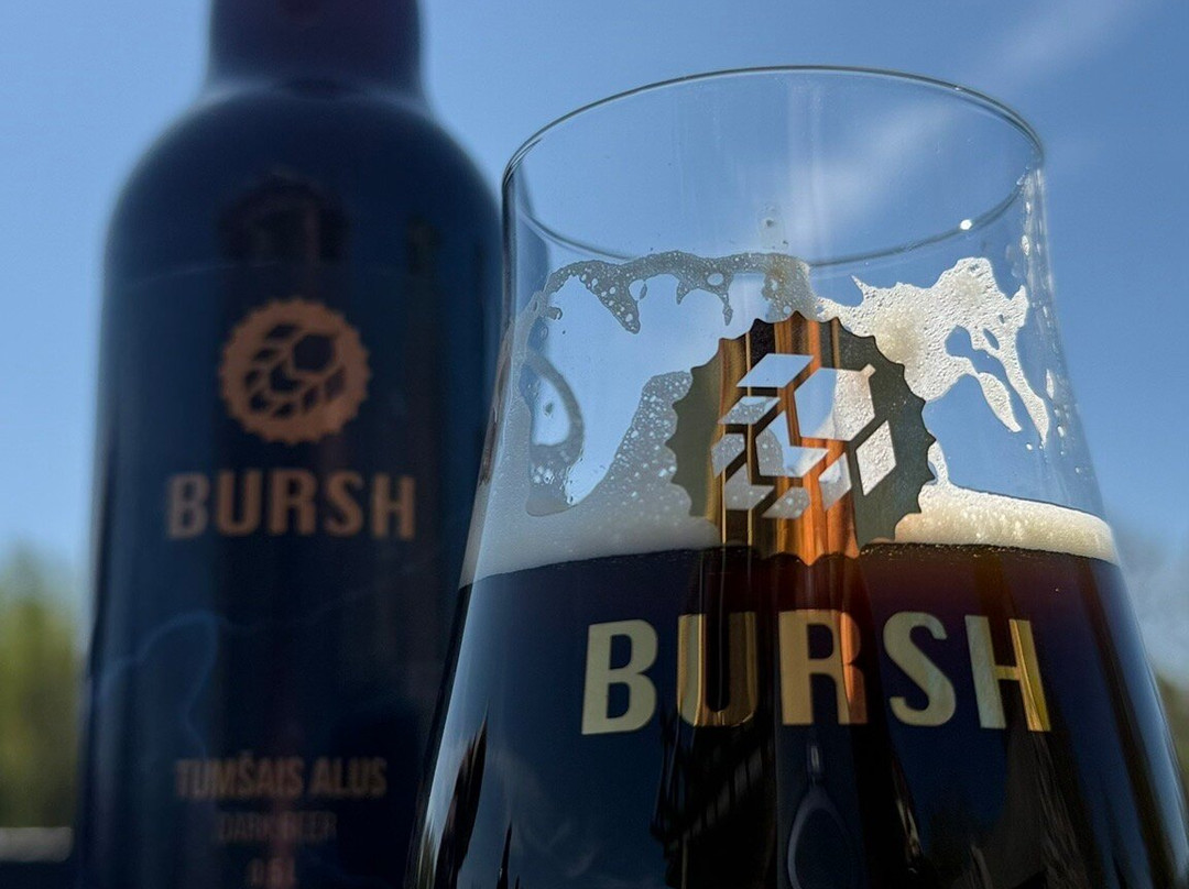 Bursh Alus Brūzis-Plavinas必去景点