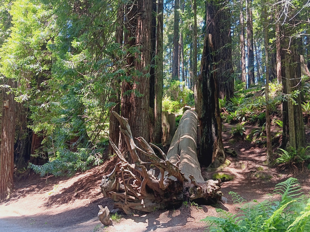 Ramada Bayside Inn & Suites主图