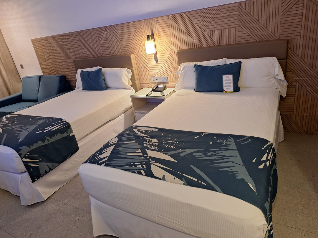 Hotel Riu Latino主图