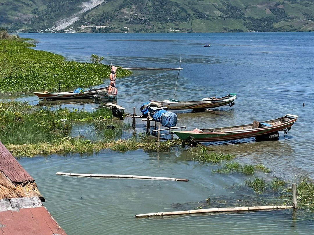 Tri Jaya - Day Tours-棉兰必去景点