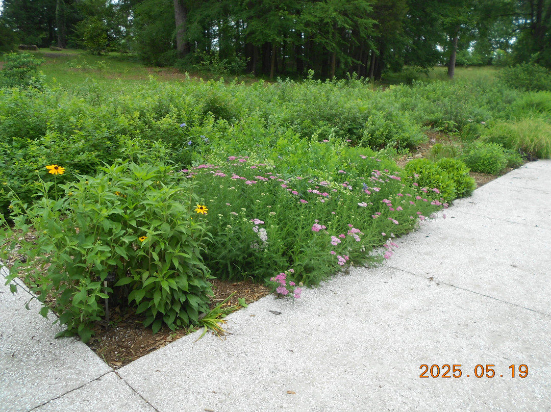 Hanover House-克莱姆森必去景点