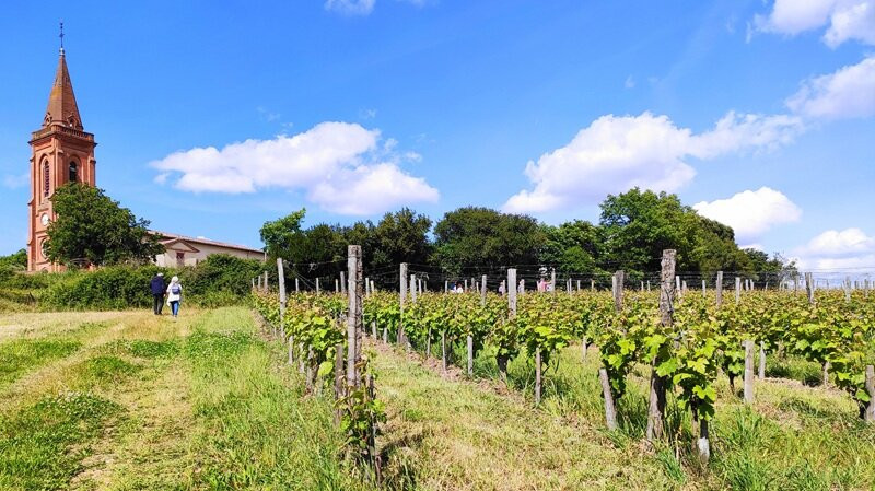 Le Vin ô Tour de Vous-图卢兹必去景点