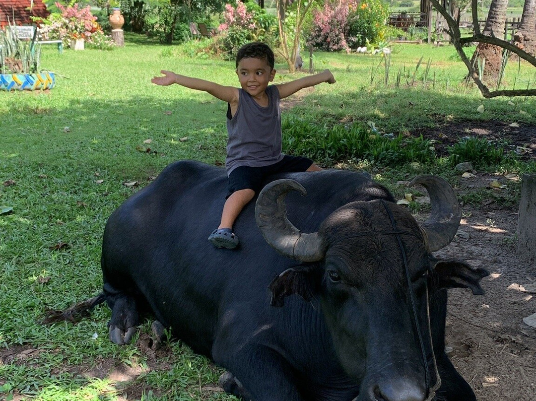 Fazenda Mironga-Soure必去景点